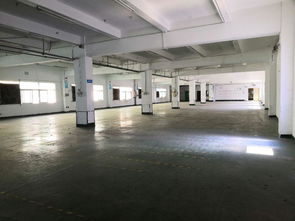 福永白石廈國(guó)道邊新出獨(dú)院16000平精裝修廠招租500平起租